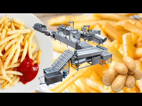 Ligne de production automatique de frites surgelées | Ligne de traitement moderne de frites de 500 kg/h