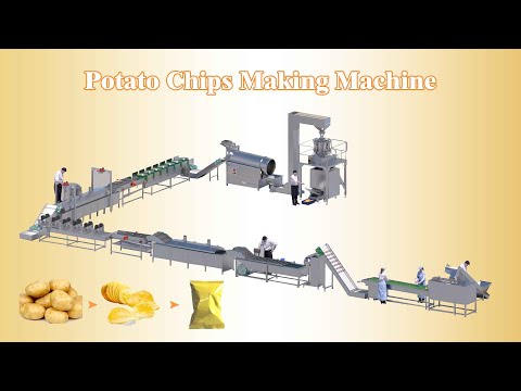 ¡Increíble! Máquina de fabricación de papas fritas totalmente automática en una gran fábrica de alimentos (100 kg-2000 kg/h)