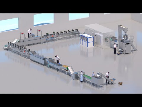 Amazing 3D automatic frozen french fries production line | potato finger chips making machine