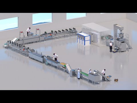 Amazing 3d automatic frozen french fries production line | potato finger chips making machine