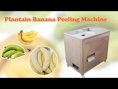 Machine éplucheuse automatique de bananes plantains vertes en vente chaude, adaptée à différentes tailles de bananes au meilleur prix