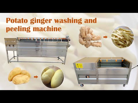 Brush potato ginger washing and peeling machine | potato washer peeler machine with wide ues
