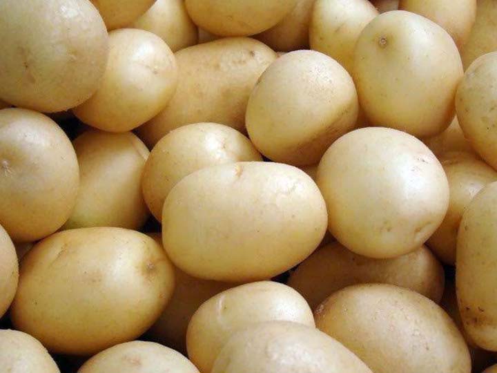 White potatoes