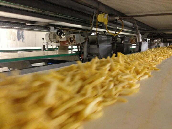 Turkey french fries production line