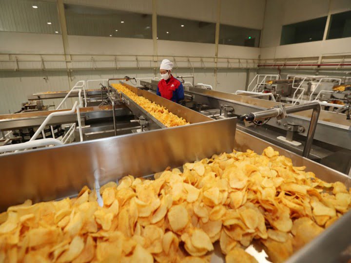 Grande usine de chips de pommes de terre au Japon