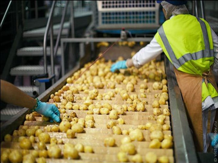 Traitement des chips de pommes de terre en Ukraine