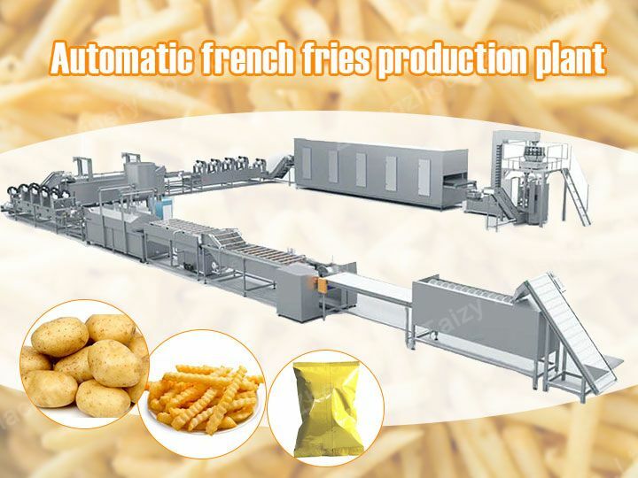 fully automatic french fries machine