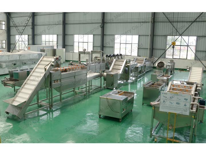 Taizy frozen fries production line factory