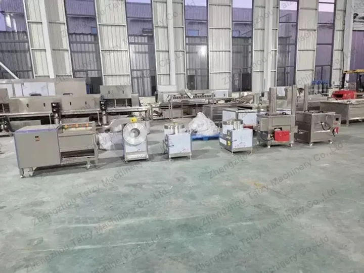 completed frozen french fries plant for Spain